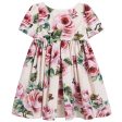 Girls Pale Pink & Rose  Butterfly  Dress Online Sale