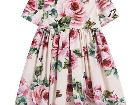 Girls Pale Pink & Rose  Butterfly  Dress Online Sale