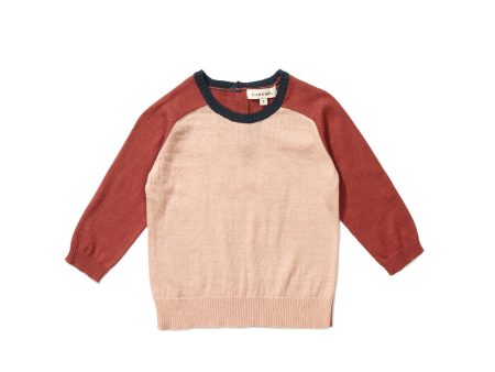 Baby Boys Multicolor Cotton Knitted Jumper Online Hot Sale