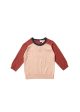 Baby Boys Multicolor Cotton Knitted Jumper Online Hot Sale