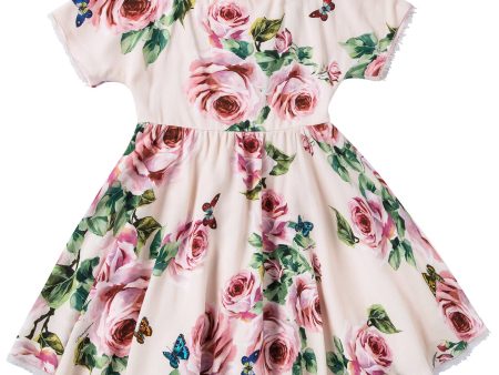 Baby Pale Pink & Rose  Butterfly  Dress on Sale