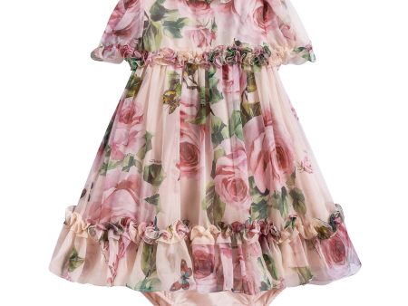 Baby Girls Rose Butterfly Printing Dress Online now