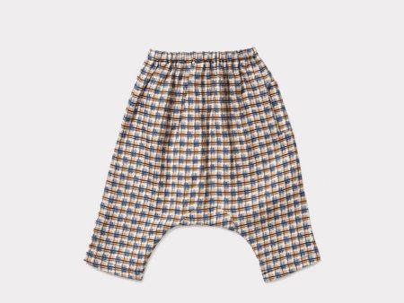 Baby Blue Checked Woven Trousers Online Hot Sale