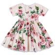 Baby Pale Pink & Rose  Butterfly  Dress on Sale