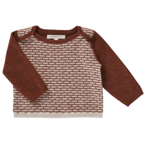 Baby Boys Maroon Knitted Wool Sweater With Brown Sleeve Online Sale