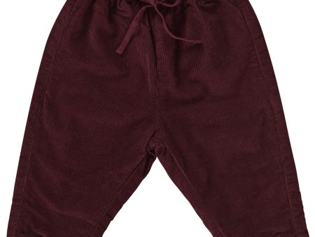 Baby Wine Red Stripe Cotton Trousers Online Sale