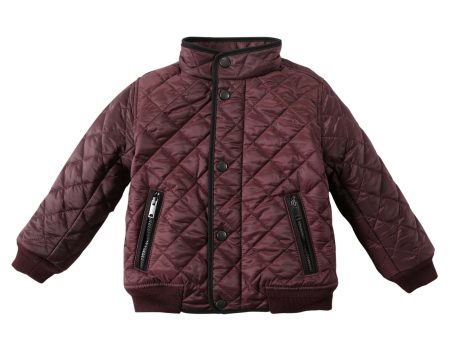 Baby Boys Dark Red Padded Down Jacket on Sale