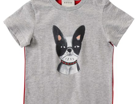 Baby Boys Dark Grey Dog Printed Trims Cotton T-Shirt Supply