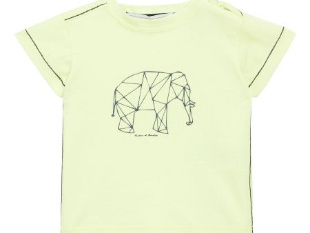 Baby Boys Fluorescent Yellow Cotton Elephant Printed T-Shirt For Sale