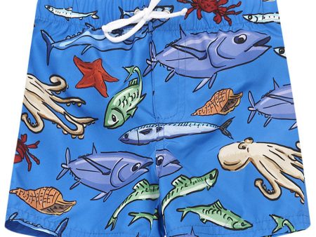 Baby Boys Blue Fish Printed Trims Beachwear Short For Cheap