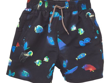 Baby Boys Navy Blue Boxer Short With Fish Print Trims Online